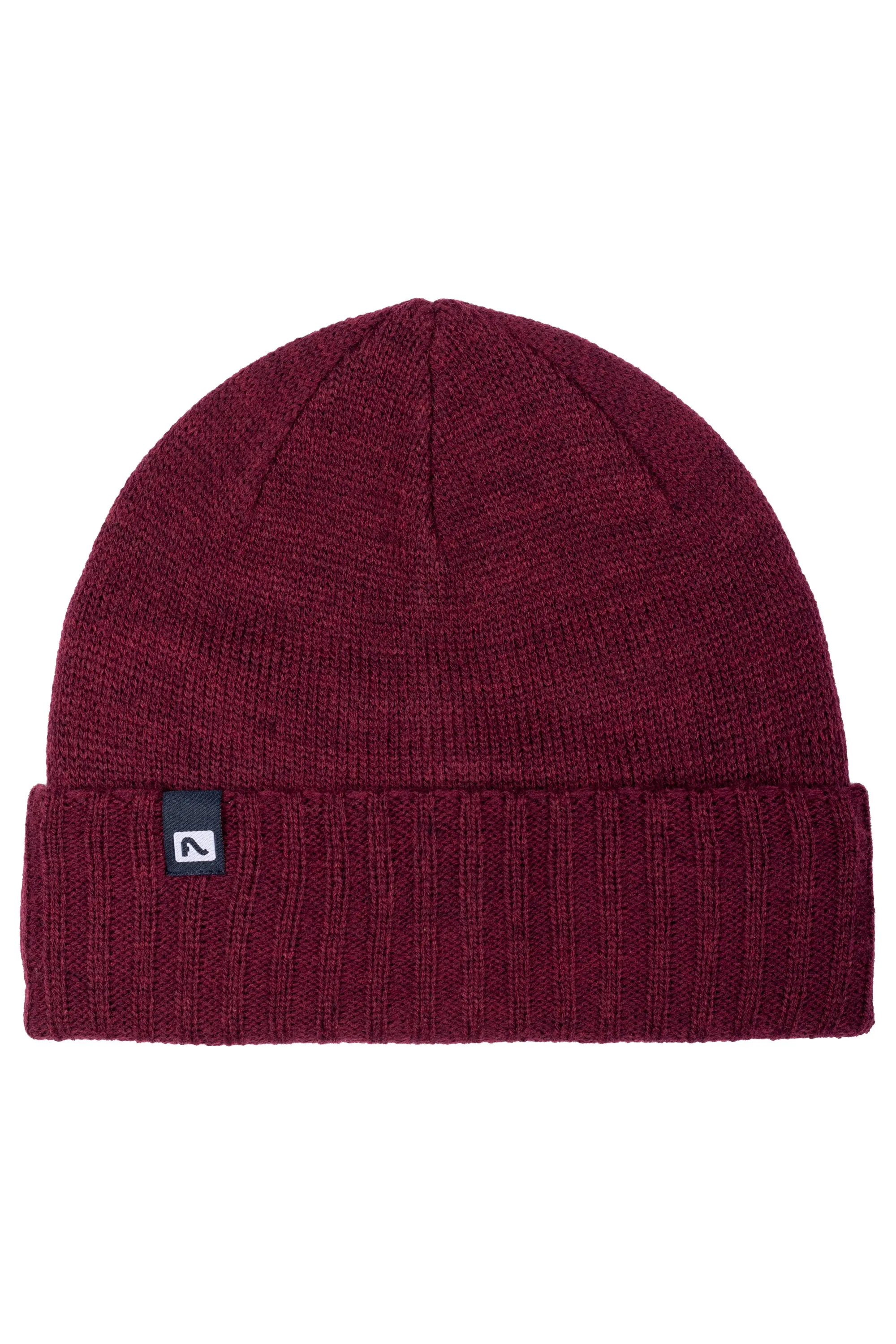 Forecaster Beanie