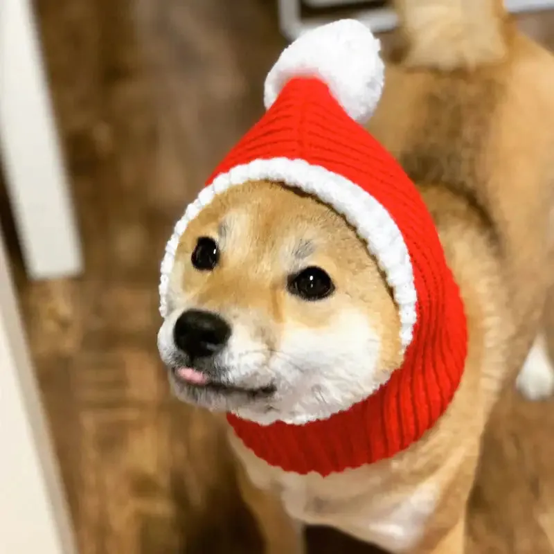 Winter Pet Knit Cap